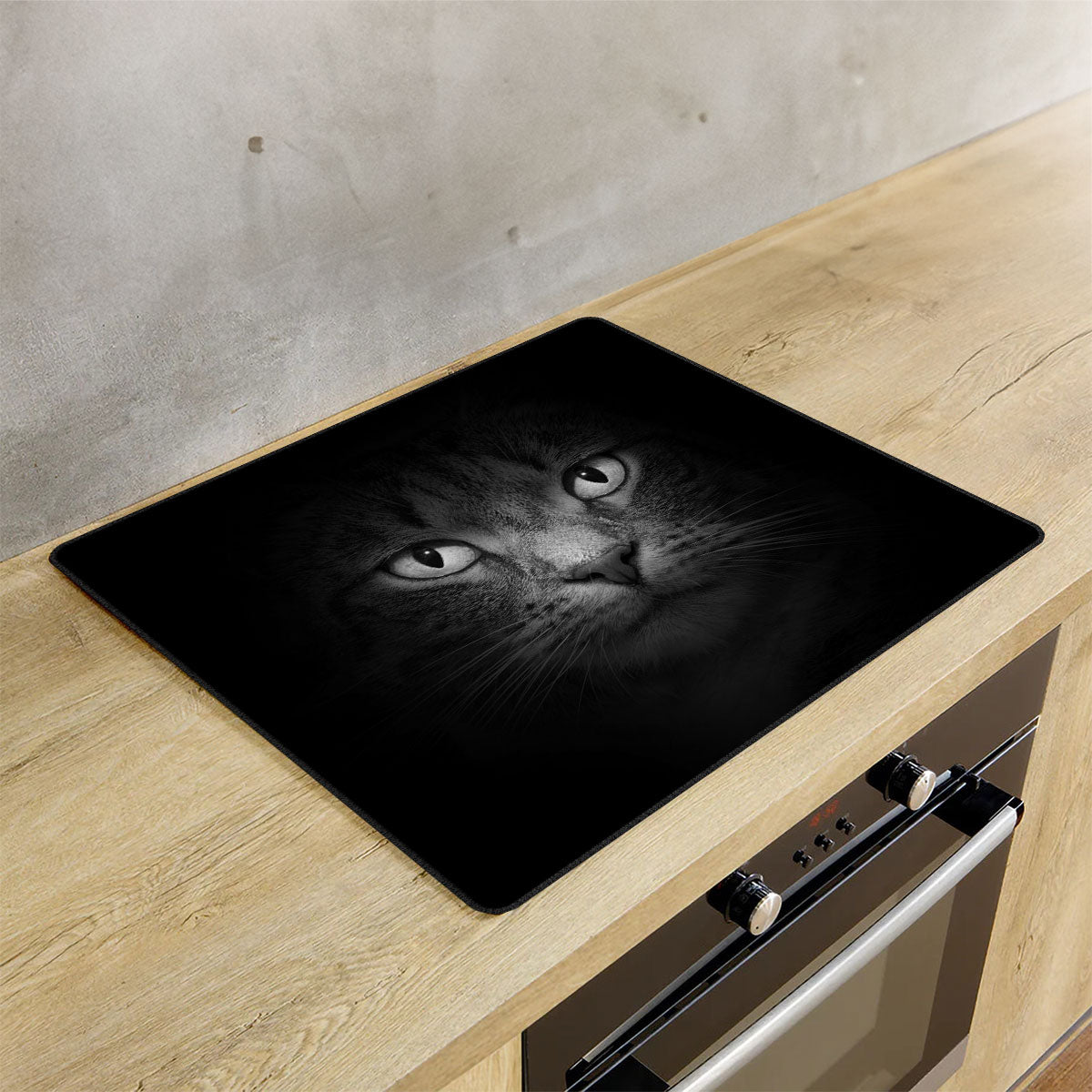 Inductie beschermer kat op de inductie plaat in de keuken